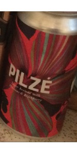 PilzÃ©