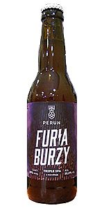 Furia Burzy