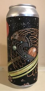 Bird With Solar System Hole In Its Wing
