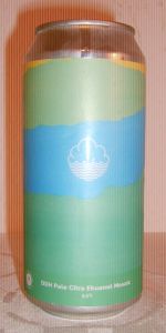 DDH Pale Citra Ekuanot Mosaic
