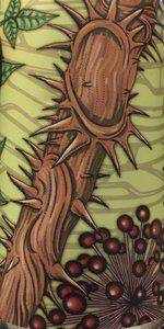 Invasive 3: Devilâs Walking Stick