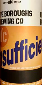 Insufficient Fare