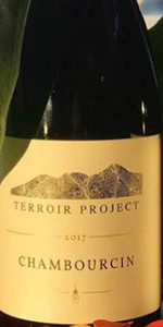 Terroir Project: Chambourcin