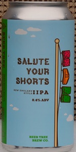 Salute Your Shorts