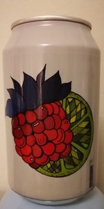 SurSalt Hallon, Lime & Ingefära