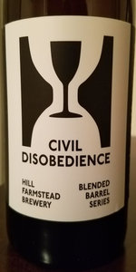 Civil Disobedience #25