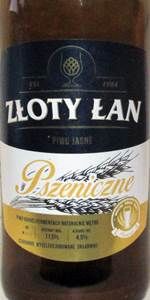 [Jako] Zloty Lan Pszeniczne
