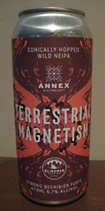 Terrestrial Magnetism