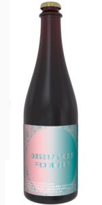 Observations From Orbit V2 (Pink/Aqua)