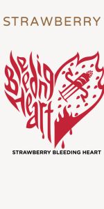 Strawberry Bleeding Heart