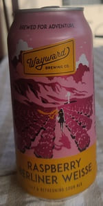 Raspberry Berliner Weisse