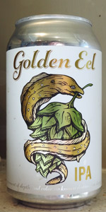 Golden Eel