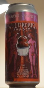 Wildberry Sorbet Gose