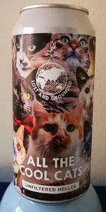 All the Cool Cats
