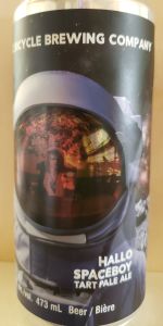 Hallo Spaceboy Tart Pale Ale