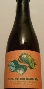 Bottle Fly - Citra/Nelson