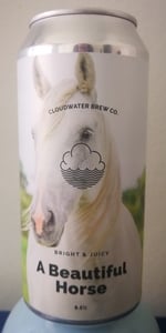 A Beautiful Horse