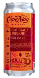 Irrationally Exuberant