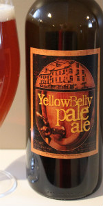 Fighting Irish Red Ale – Yellowbelly Brewery