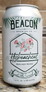 Hybeachcus