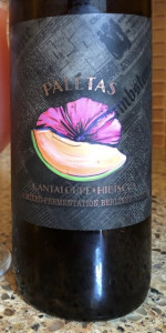 Paletas: Cantaloupe + Hibiscus