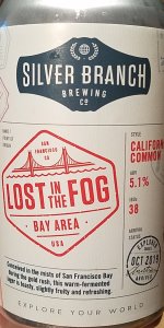 Lost In The Fog