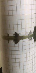 Organic Amplitude