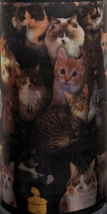 National Cat Day