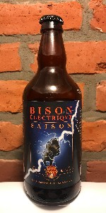 Bison Ãlectrique