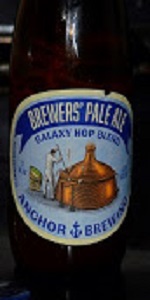 Brewer's Pale Ale (Galaxy Hop Blend)
