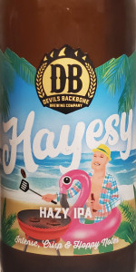 Hayesy