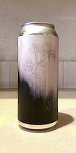 Buckwheat Stout