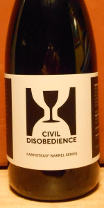 Civil Disobedience #28