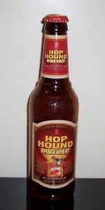 Michelob Hop Hound Amber Wheat