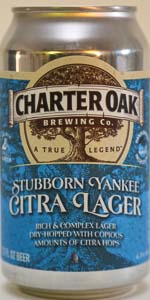 Stubborn Yankee Citra Lager
