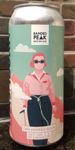 Barbara Washburn dry hopped sour