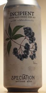 Incipient - Elderberry