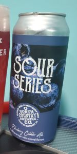 Blueberry Cobbler Sour