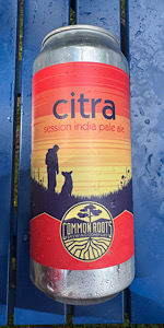 Citra Session