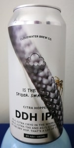 Is The Spider Small?