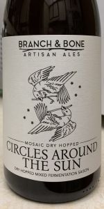 Circles Around The Sun