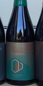 Sulla Terra (2020)