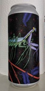 Funny Little Bug