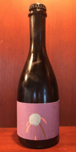 Petalz Raspberry