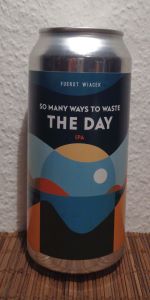 So Many Ways To Waste The Day