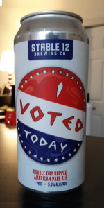 I Voted Today