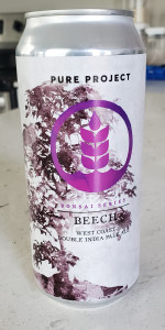 Bonsai Series - Beech