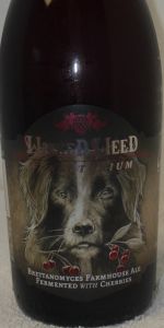Chien de Ferme