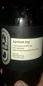 Apricot Ivy