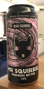 Mr Squirrel